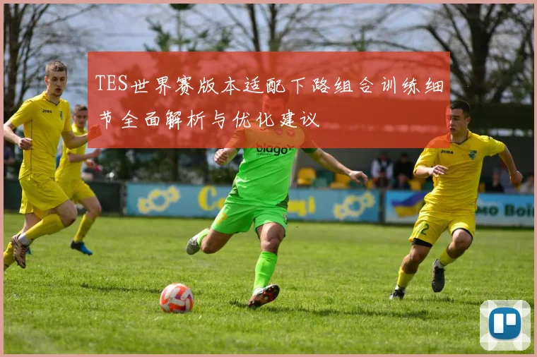 TES世界赛版本适配下路组合训练细节全面解析与优化建议