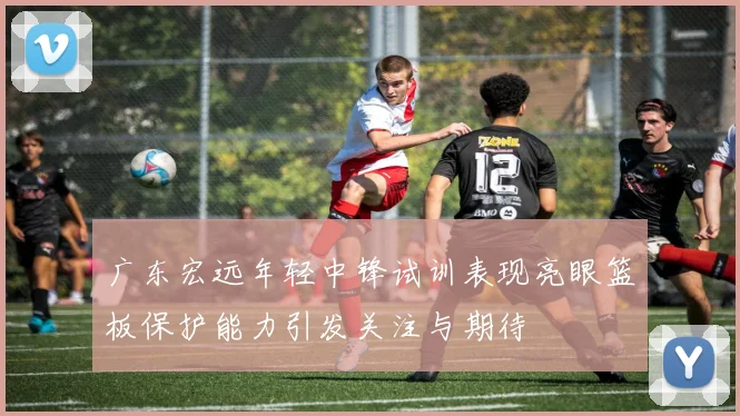 广东宏远年轻中锋试训表现亮眼篮板保护能力引发关注与期待